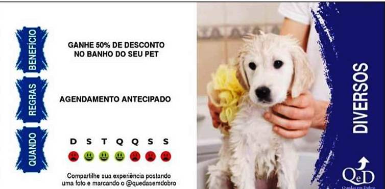 Pronto 1 3 - Jornal Expoente Do Iguaçu