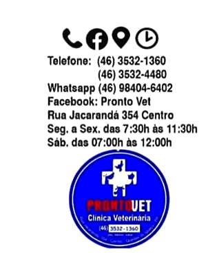 Pronto 3 1 - Jornal Expoente Do Iguaçu