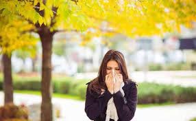 Como evitar as alergias respiratórias de outono