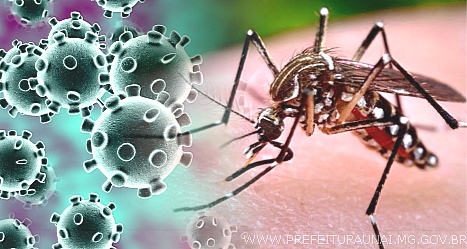 Boletim Epidemiológico Dengue e Covid-19 Quedas do Iguaçu (06/06/2022)