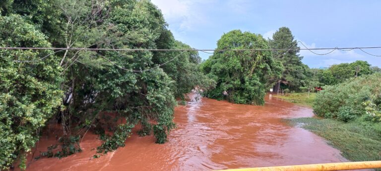 Quedas do Iguaçu está entre os 50 municípios habilitados a linha de créditos emergencial Paraná Recupera
